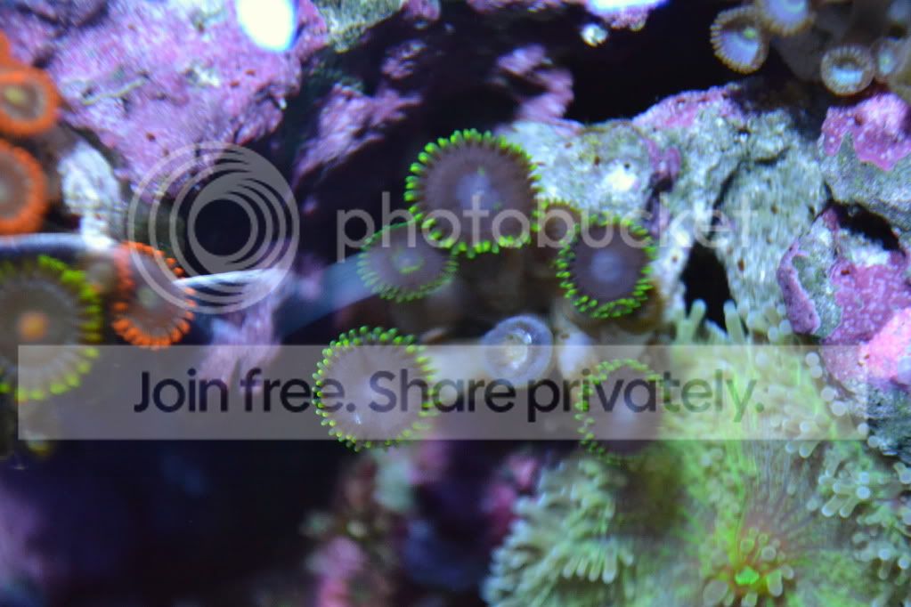 nanoforsale040.jpg