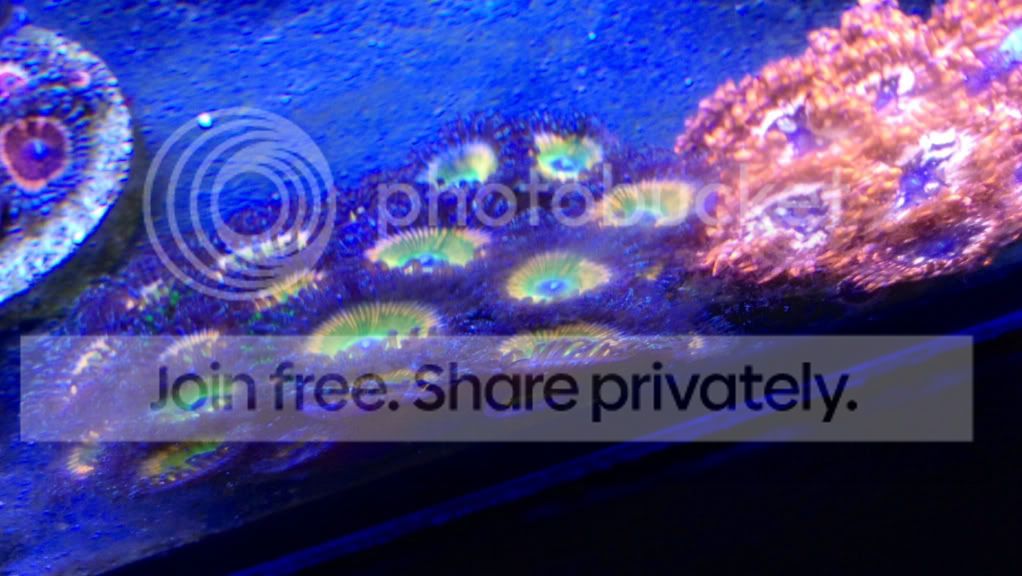 1e5b78bd0442bef6a8bcbec8c79f9902_zps221d45d9.jpg