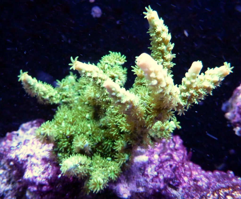 P1020091.jpg