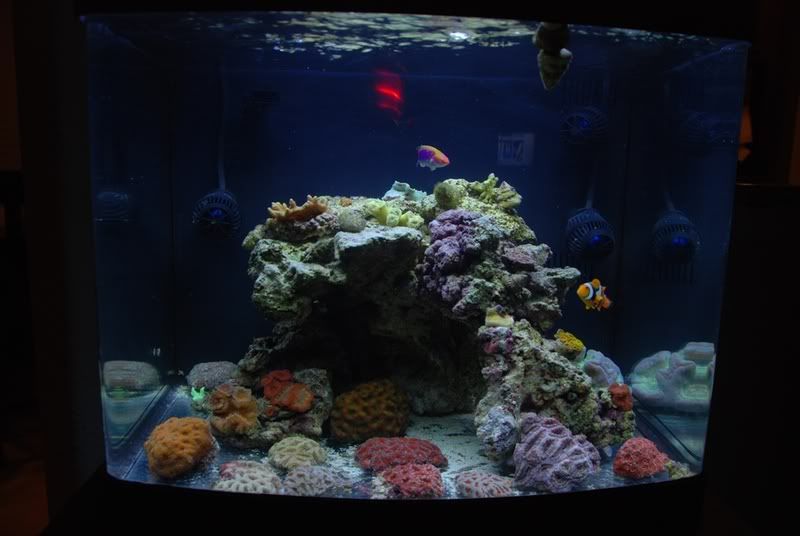 fts-1.jpg