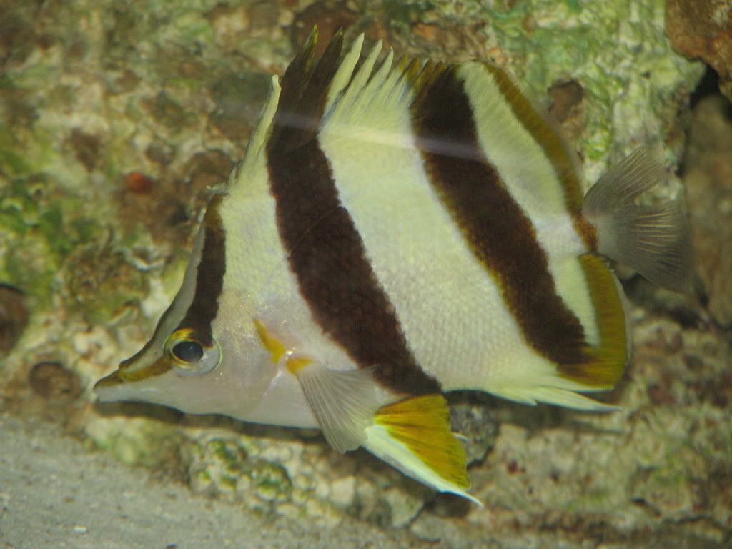 IMG_2701.jpg