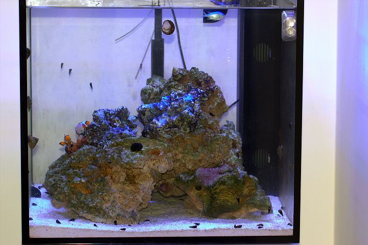 tankfrontshot.jpg
