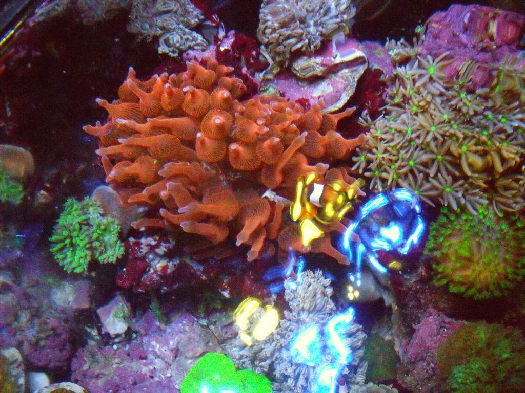 DSCF1215.jpg