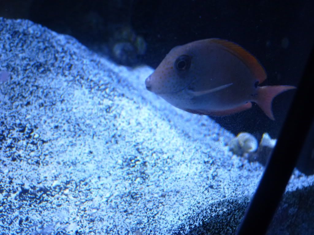 P1070443.jpg