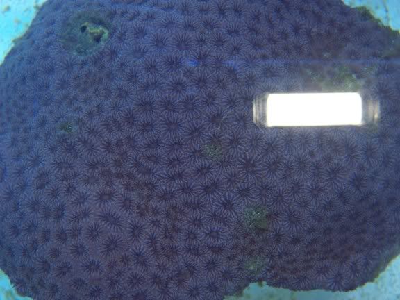 100_1542.jpg