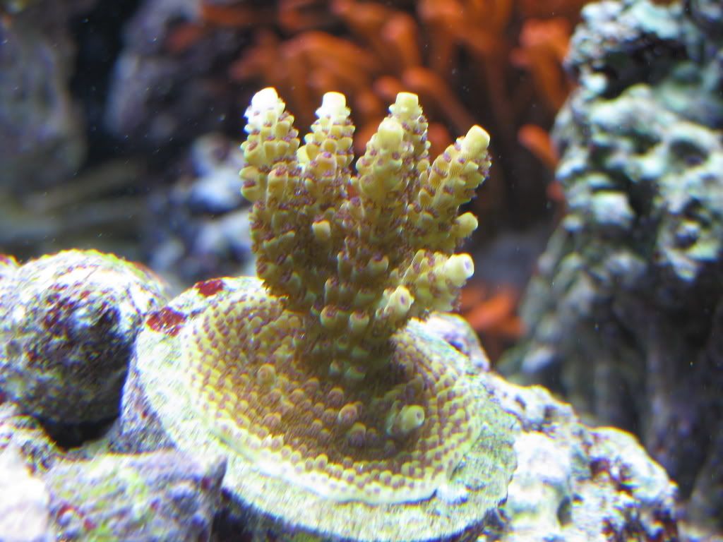 IMG_0788.jpg