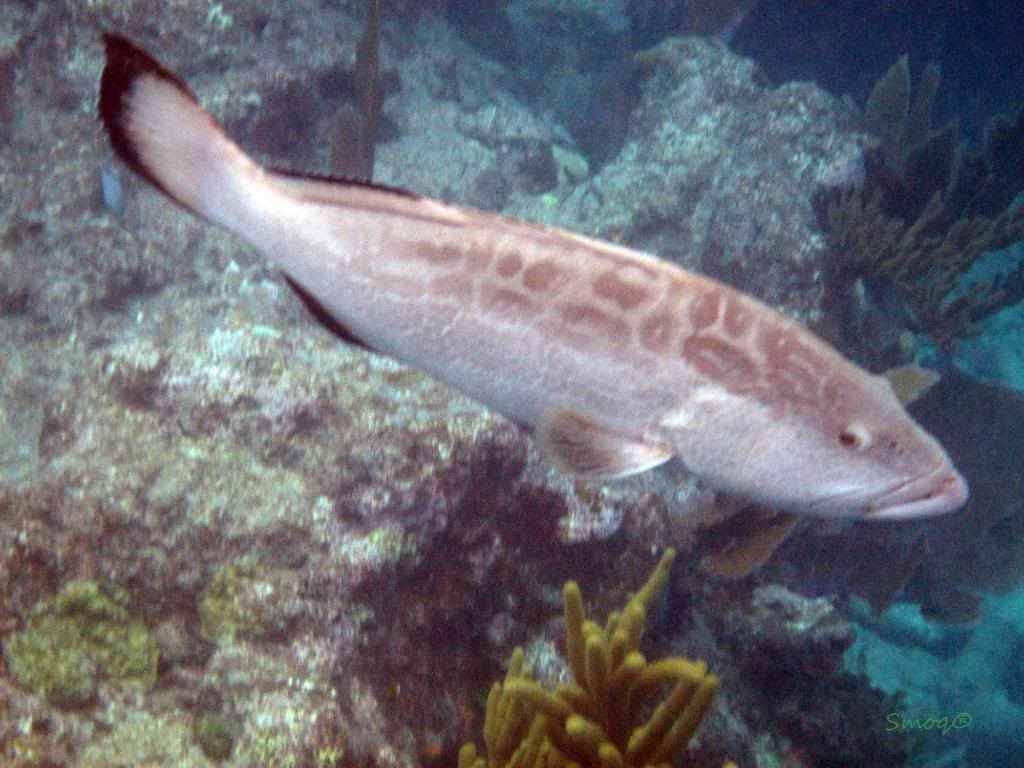 IMG_0863.jpg
