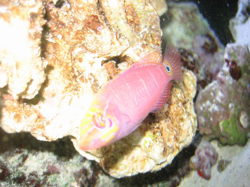 IMG_0504.jpg