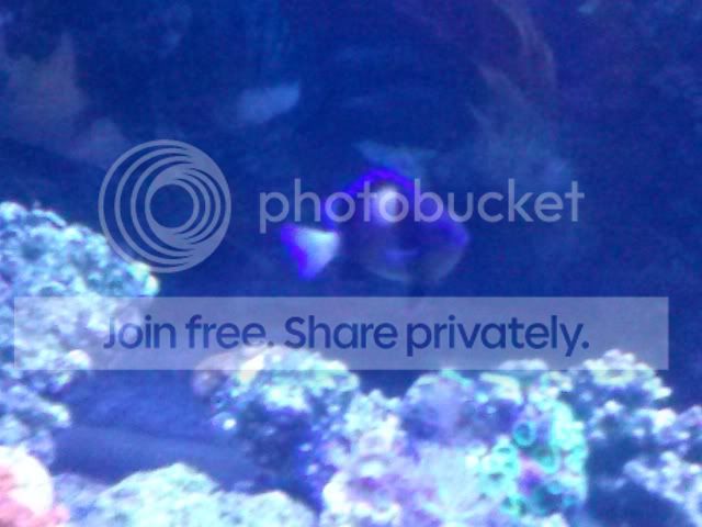 CAM01239.jpg
