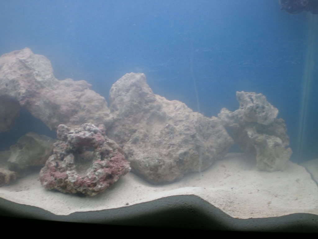 sono1047.jpg