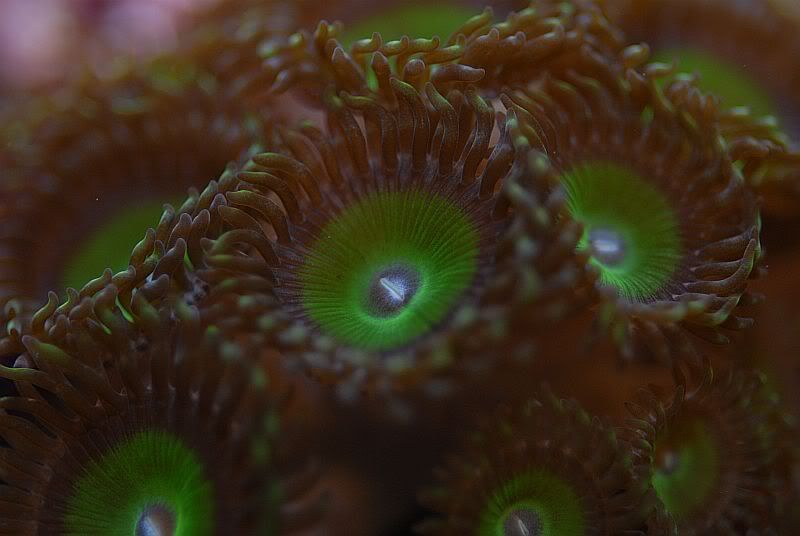 DSC_0264.jpg