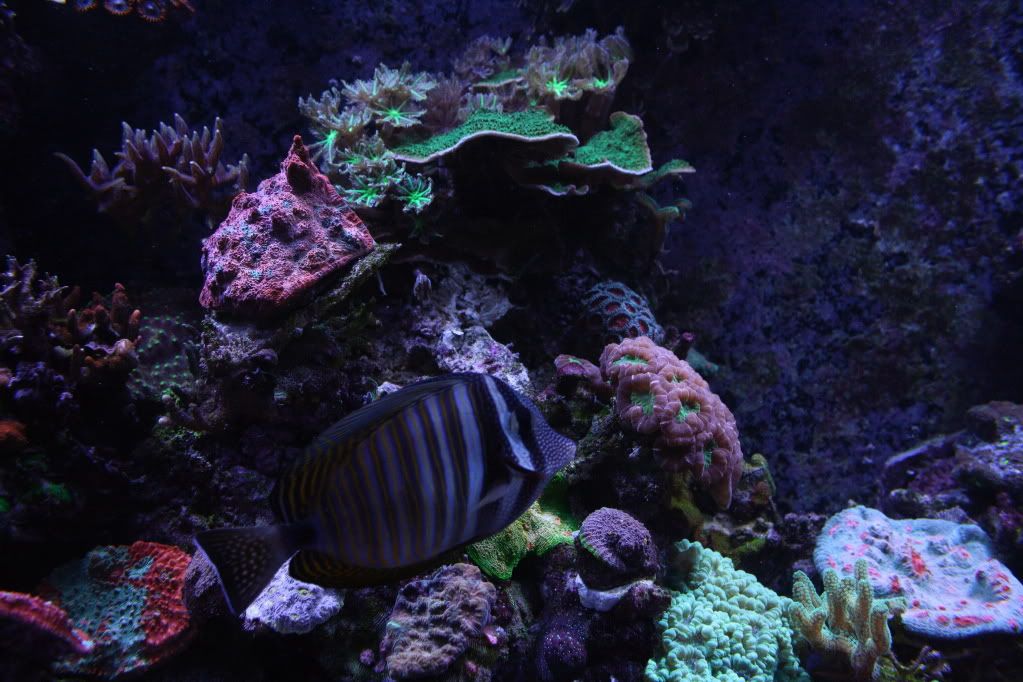 IMG_7873.jpg