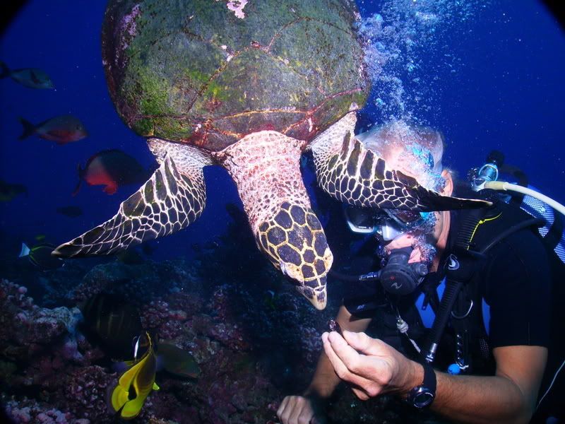 PICT0011.jpg