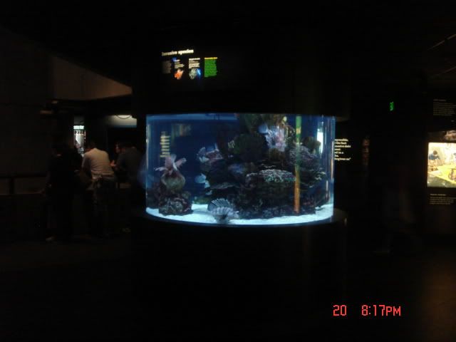 DSC01325.jpg