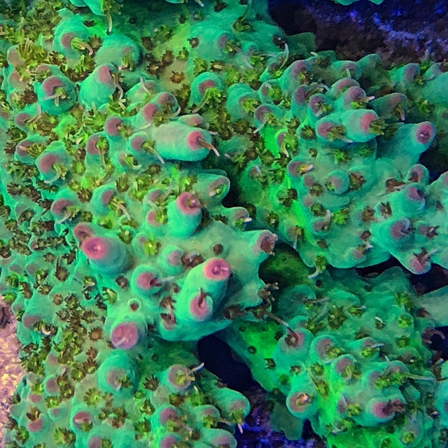 327c76b2fdfaf1f8d9bb8f023b550710.jpg