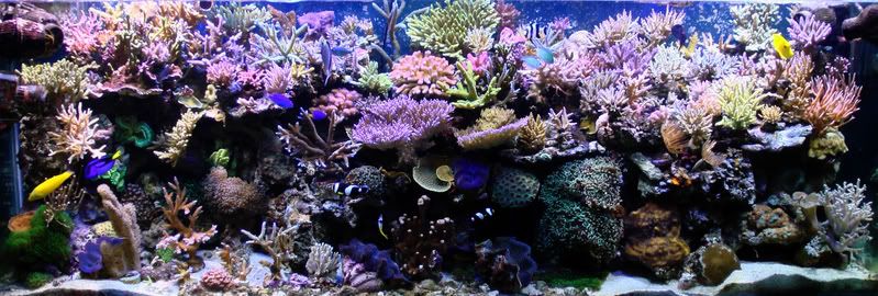 dec1807001fts1.jpg