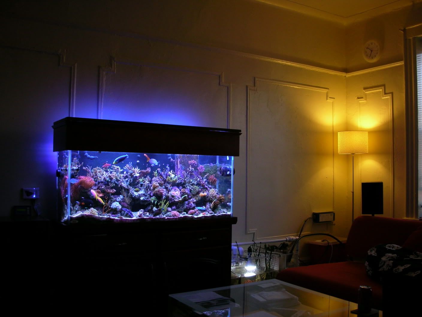 DSCN0618.jpg