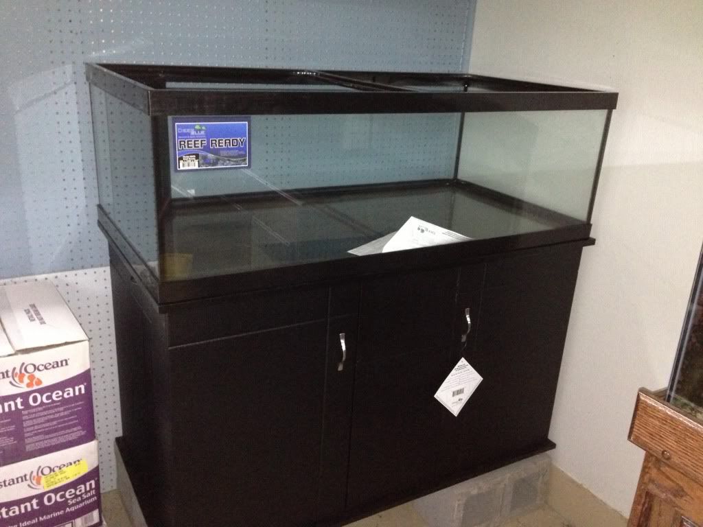 null_zps21e13898.jpg