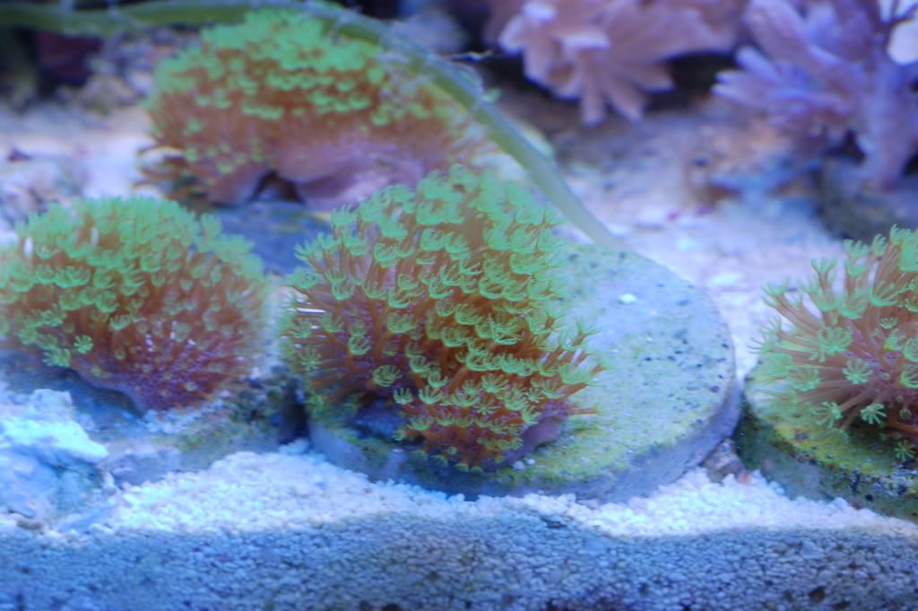 DSC_0006.jpg