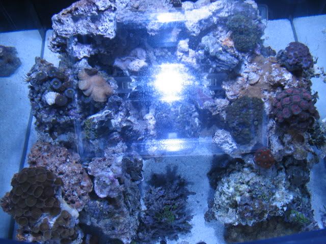 IMG_1161.jpg