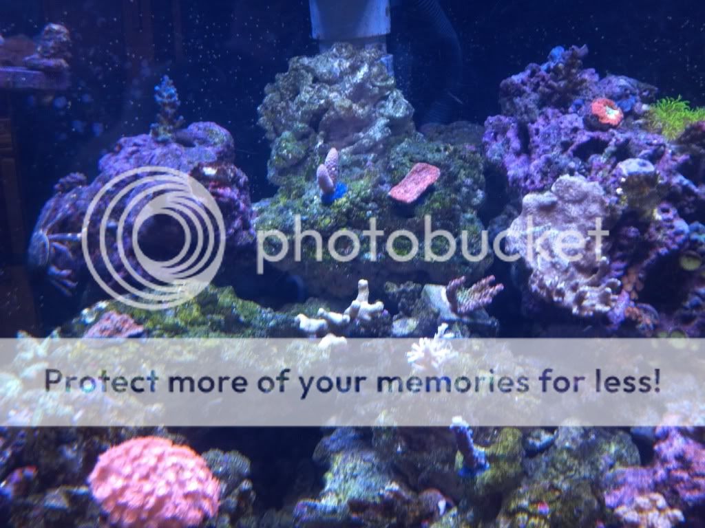 2011-12-07_13-41-06_107.jpg