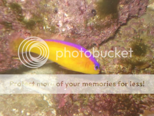 DSC08949.jpg