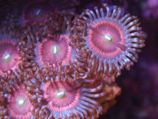 926e8599.jpg