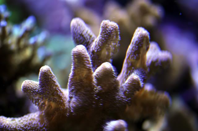 DSC_0657_edited.jpg