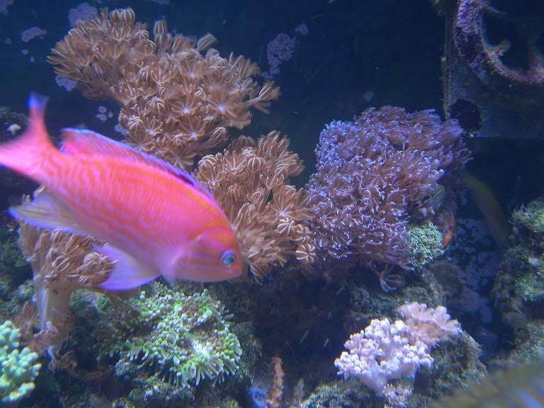 DSCN5628.jpg
