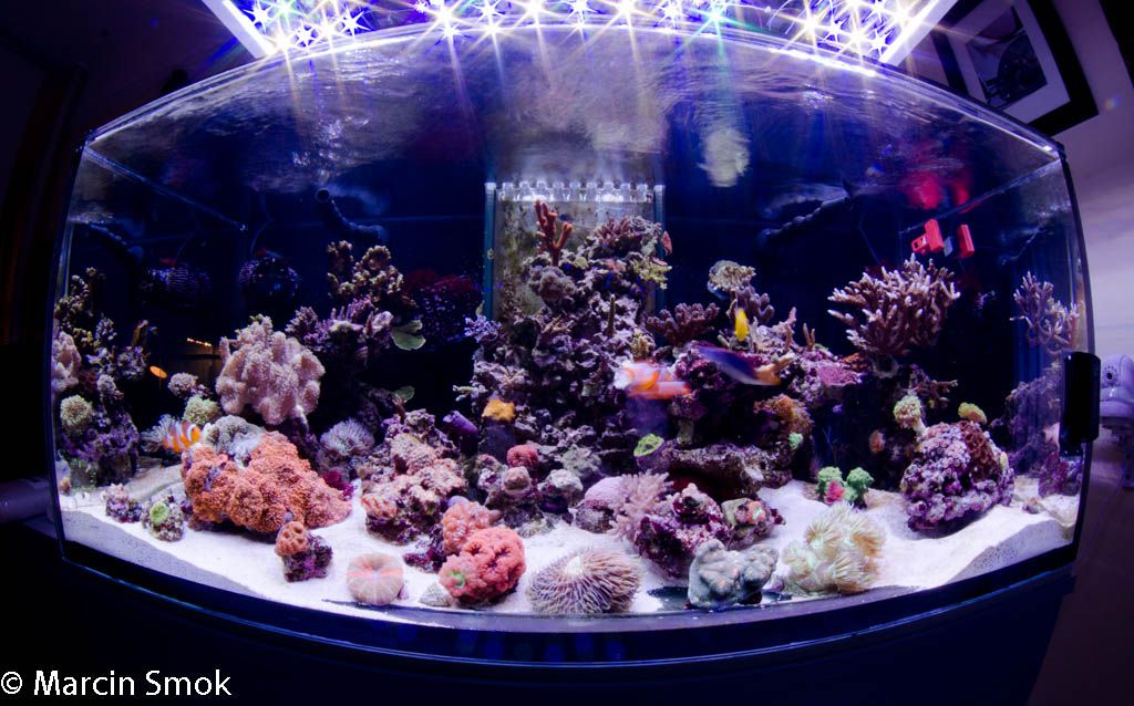 fts.jpg
