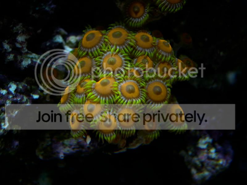DSCN3576.jpg