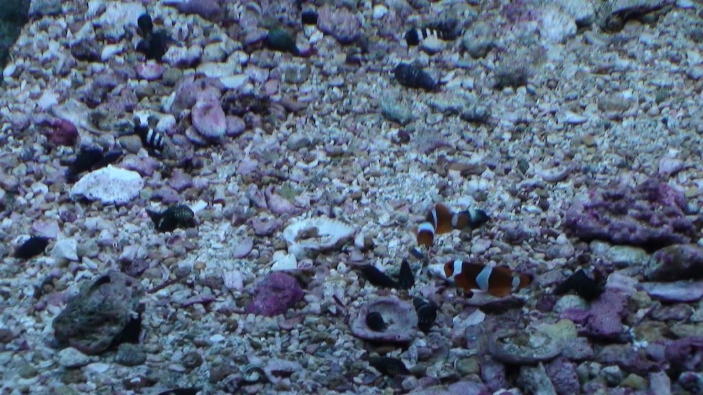 DSC00373.jpg