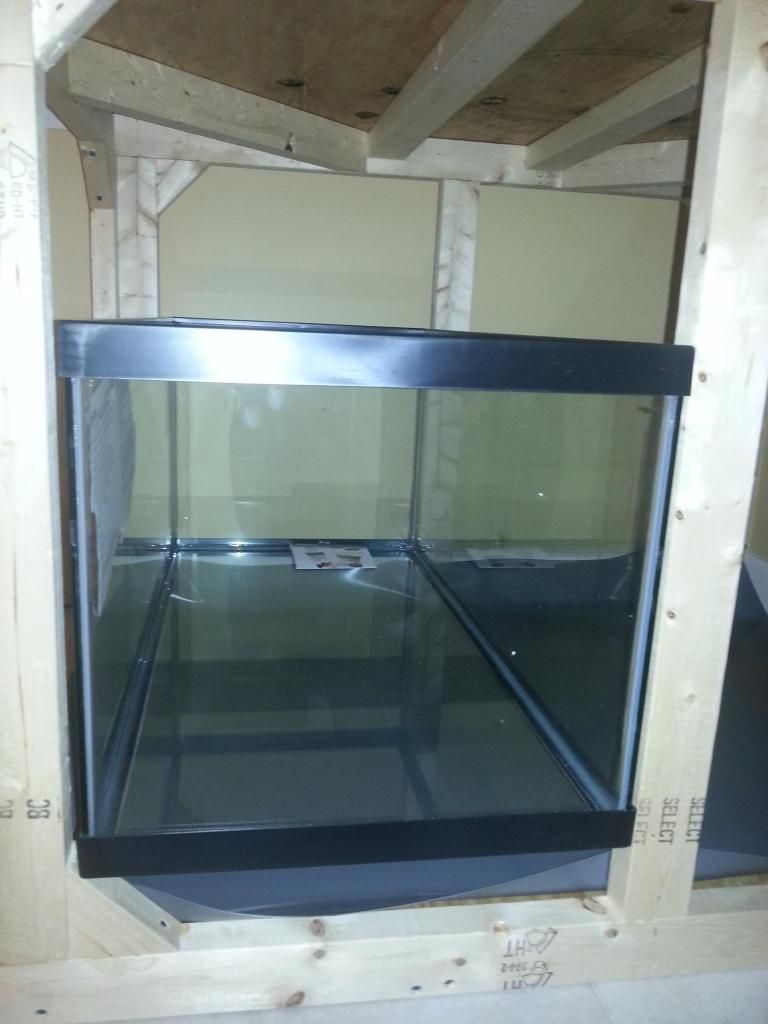 20121116_212626-1.jpg