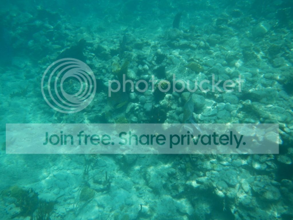 DSCN0485.jpg