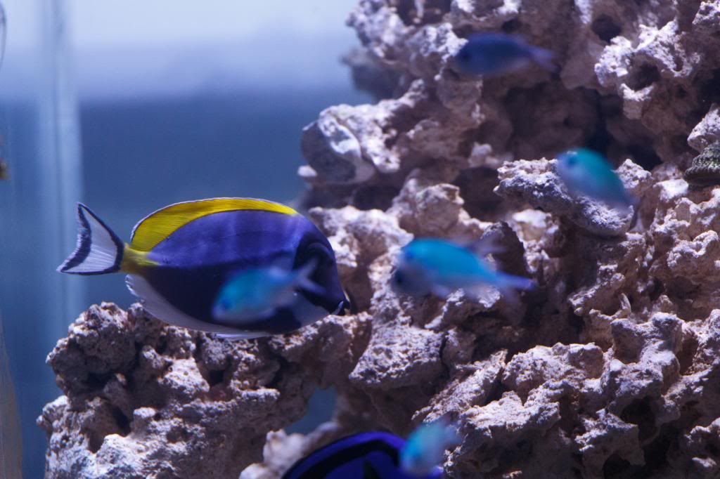 Aquarium-10.jpg