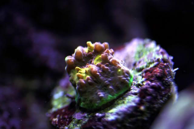 DSC_0573_edited-1.jpg