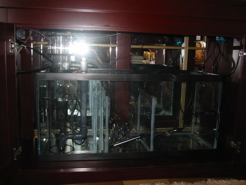 114-1466_IMG.jpg
