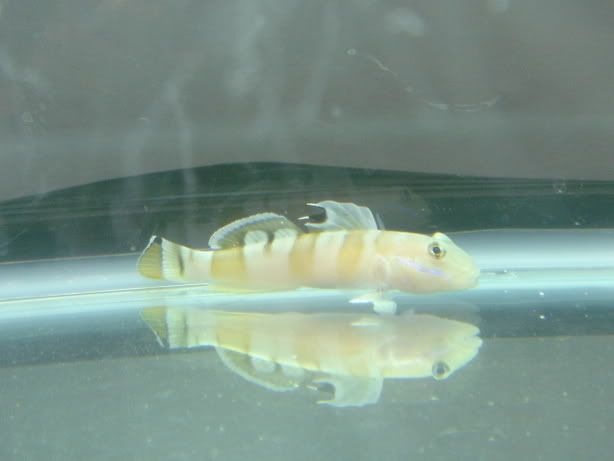 DSC01483.jpg
