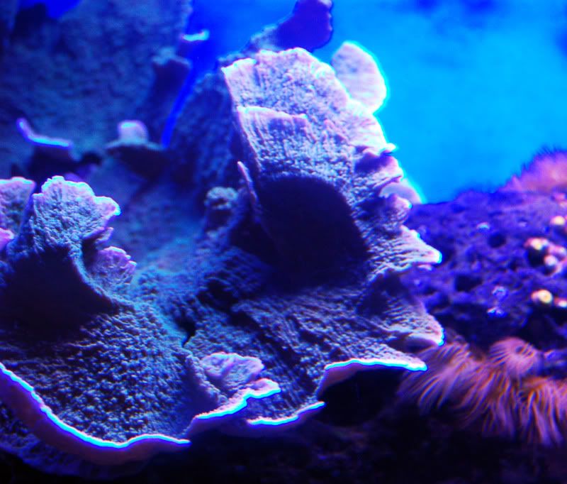 DSC_0130.jpg