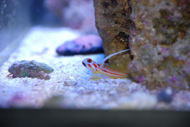 DSC_1330.jpg