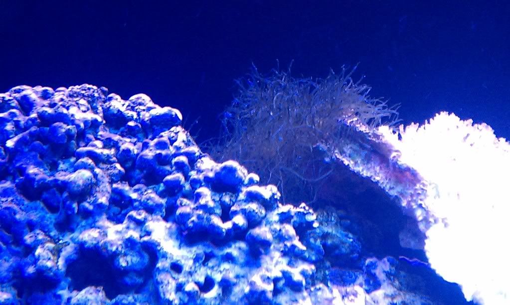 IMAG0979-1.jpg