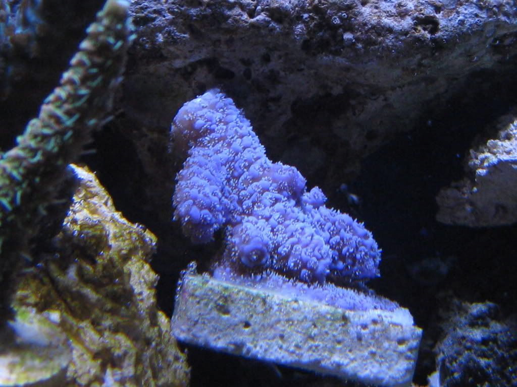 IMG_2753.jpg