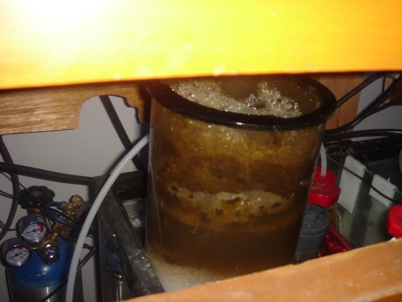2007_1123tank20077.jpg
