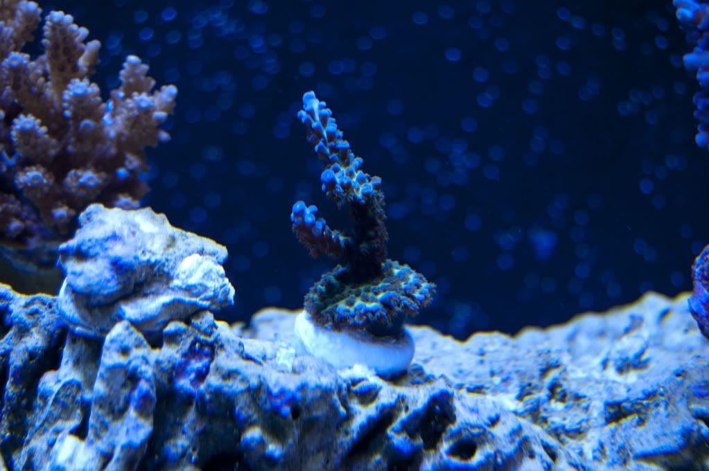 DSC_0379.jpg