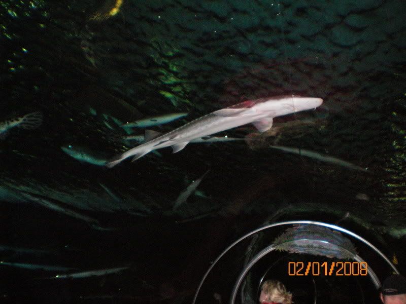 100_0169.jpg