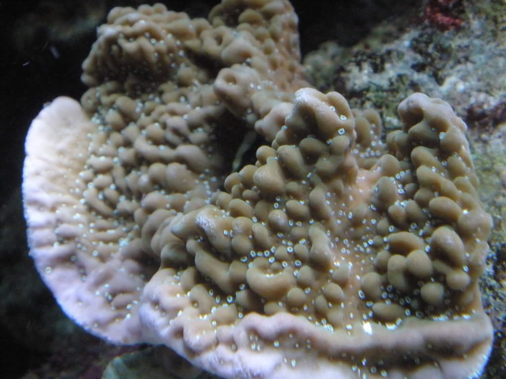 P7020020.jpg
