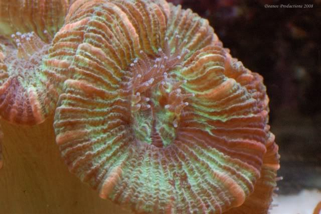 DSC_7504.jpg