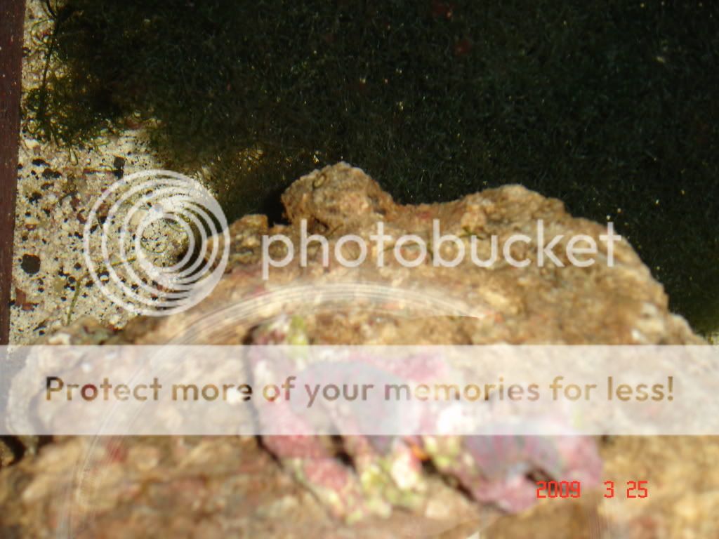 DSC03017.jpg