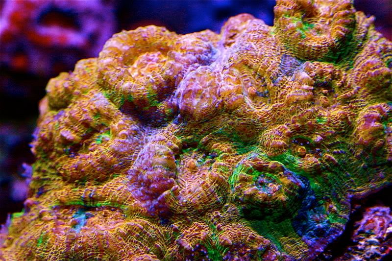 IMG_8732.jpg