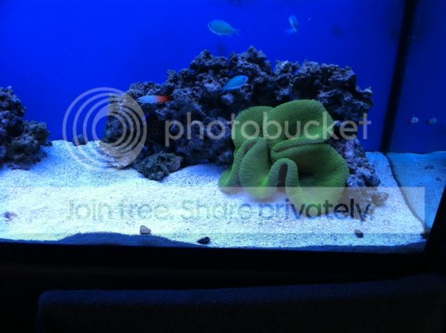 photo13.jpg